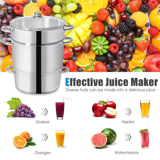 11Quart Stainless Steel Fruit Juicer Steamer